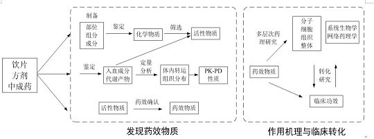 中药药效物质研究领域的若干科学问题(图1)